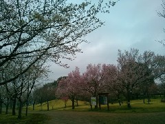 ��������������F�k�{�s