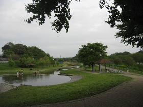 �������܎s ������������