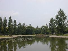 �ʂ̐X���Ԍ���