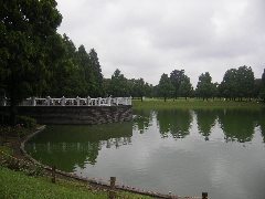 ��z�������