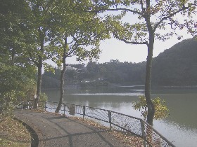 �����Ό���