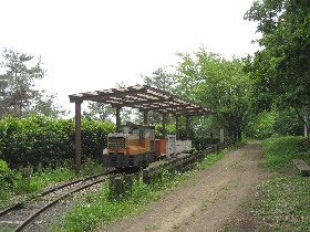 ���R���F�g���b�R����