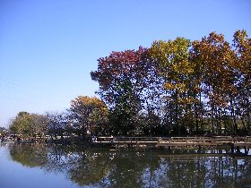 �߃����s�^������