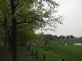 �z�J�s:�o�H����