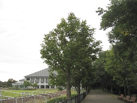 ��Ε�������