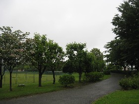 �{�㒬�����^������