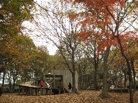 ���q�����E���q�A�X���`�b�N�L��