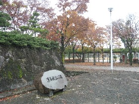 �[�J�隬����