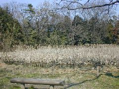 �r��喃������