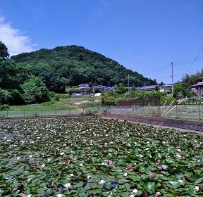 東側からの愛宕山