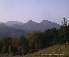 �q�̌����t�߂���̈ɓ����x