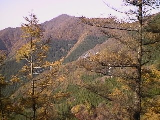 鳥首峠付近からの大持山