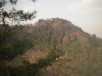 ���╽����̕x�m�R