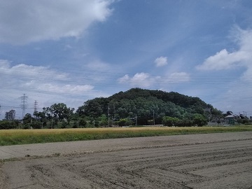 国道140号南側からの観音山