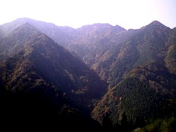 ���J��ѓ�����̌F�q�R