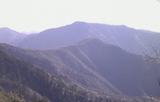 飛龍山から見た雲取山