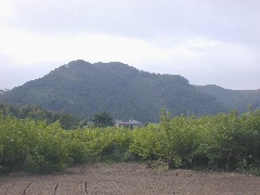 長瀞町清流苑付近からの天狗山