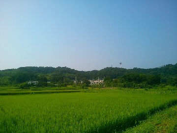 �j�Ήw�쐼�̕x�c�n�悩��̓V�_�R