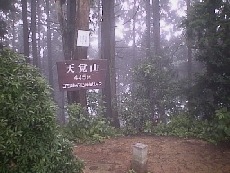 ���̒��̓V�o�R�R��