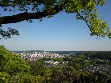 山頂付近から飯能市街の眺め