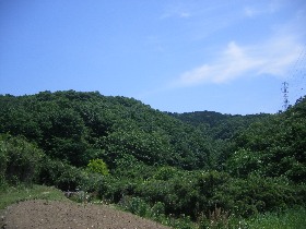 小川町下里付近からの遠ノ平山