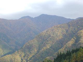 霧藻ヶ峰近くの大血川林道からの酉谷山