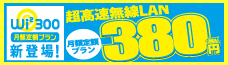 Wi2 300 ����������LAN ���z��z�v���� 380�~