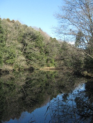 �����Ƒ��