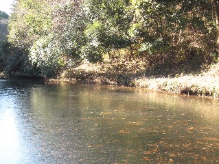 �V�_����