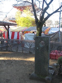 �쑽�@�̔m�ԋ��F��z�s