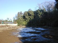 �ɓގ����~��