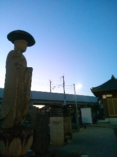 �Êω����̊}�n��