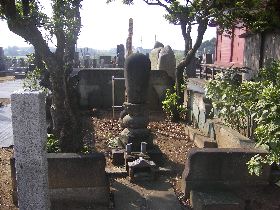 ����w�� ���T�̕�