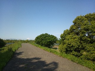 �˓c�s�F�r�쉡��