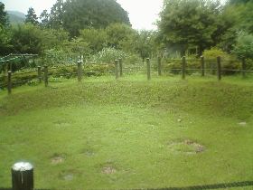 ����Ί펞��Z����