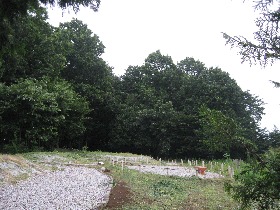 �����R�Õ��Q