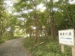 �јC�R���F���q�X���㓹(���݂݂�)