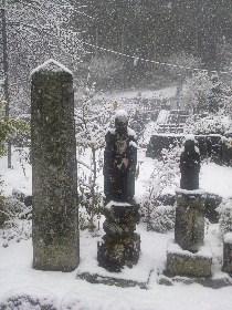 ��R�@�̔Γ��k