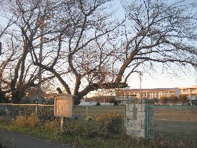 �������w����