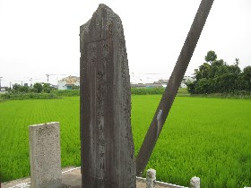 ���R�Ό�����̔�