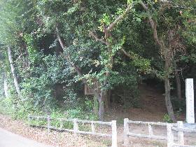 �V���R��