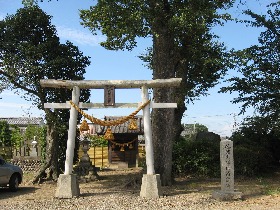 �Y��Z�Y�������{��