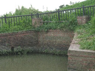 �k�͌��p������