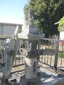 �K�t�@�̘Z�n����