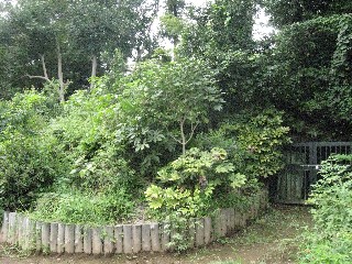 �����^�ώ��Õ�