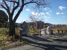 �֗��Z�p�̔�