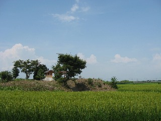 �㗢���F�ѓ��Õ��Q