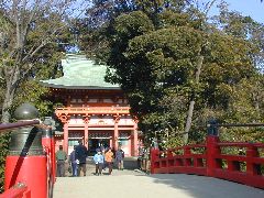 ������{�X��_��