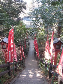 �k�{�s�F�k�{�X��_��