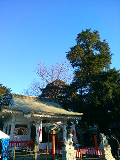 ���������_��